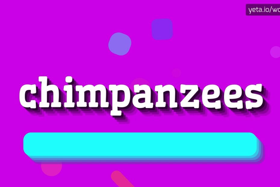How To Pronounce Chimpanzee