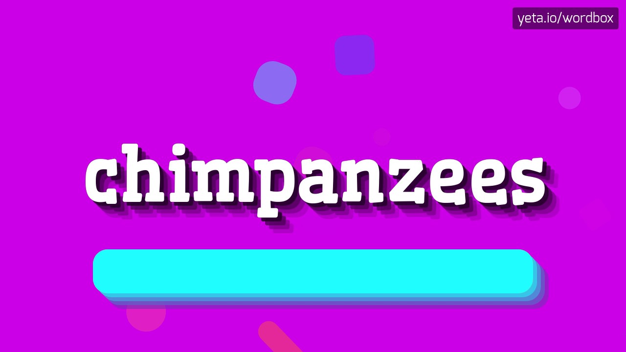 How To Pronounce Chimpanzee