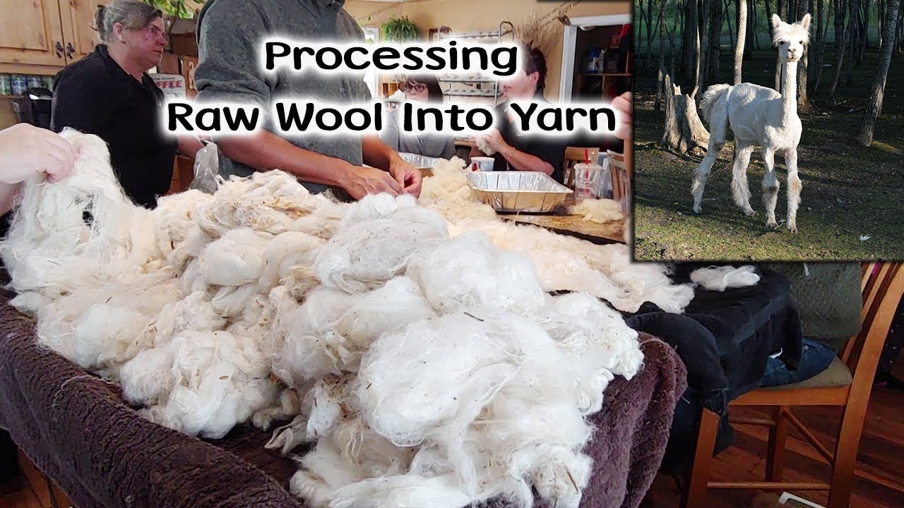 Processing Our Raw Sheep Wool Into Yarn