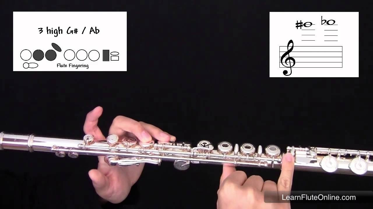 How To Play The Note A flat or G sharp Ab/G# on flute: Learn Flute Online