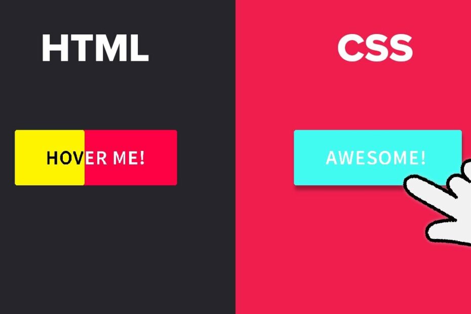 CSS Button Hover Animation Effects using Only HTML u0026 CSS