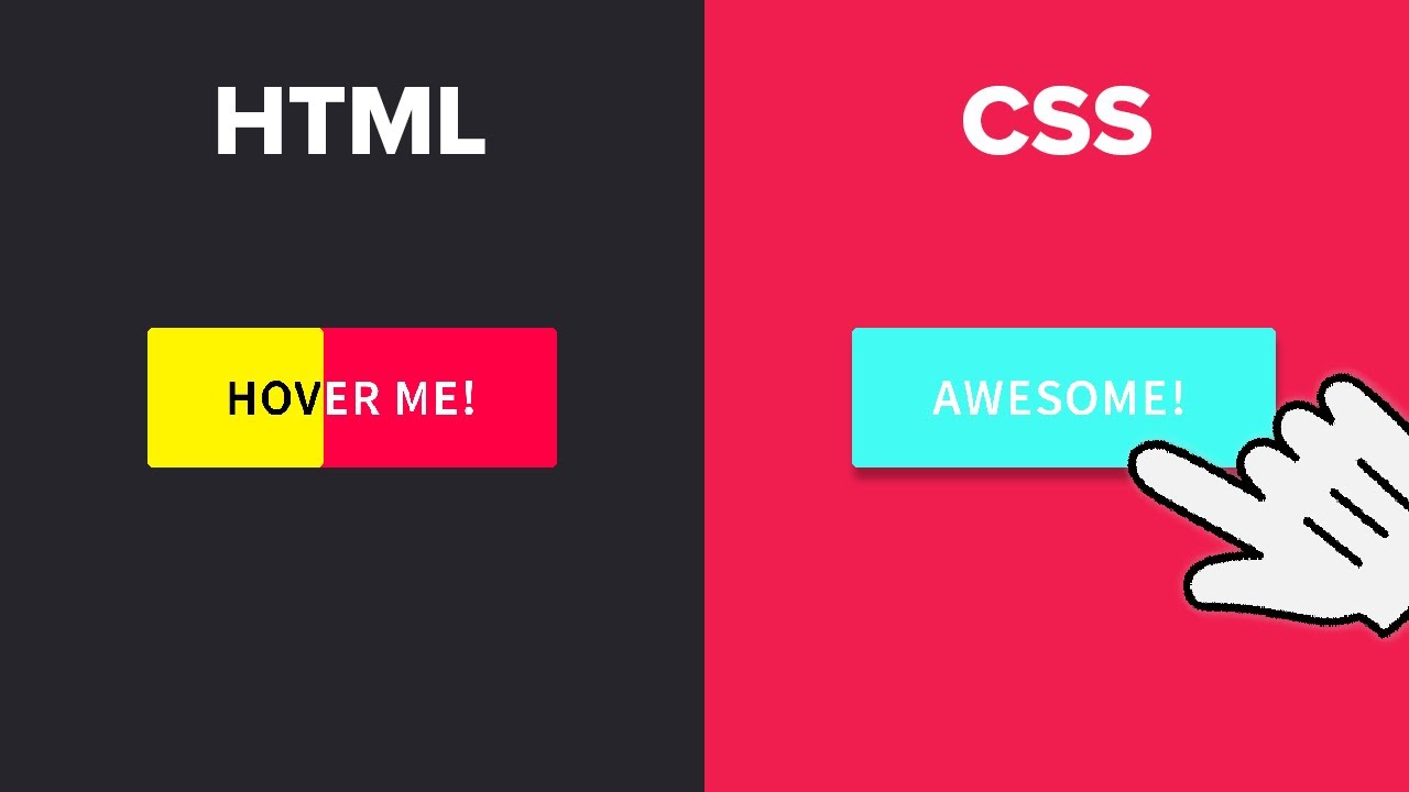 CSS Button Hover Animation Effects using Only HTML \u0026 CSS