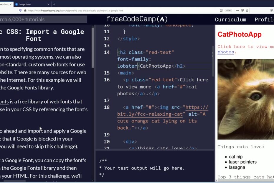Import a Google Font Basic CSS via FreeCodeCamp Org