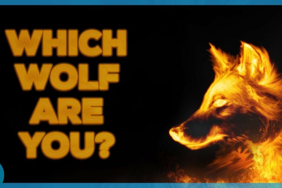 What Wolf Are You Quiz