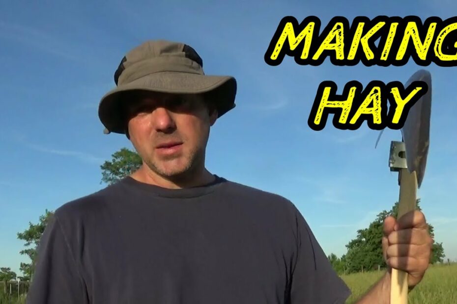 How To Harvest Hay By Hand