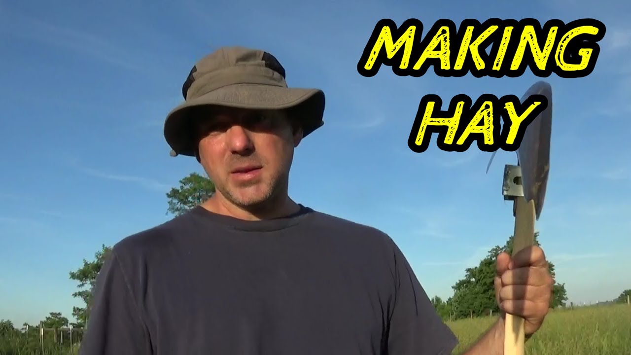 How To Harvest Hay By Hand