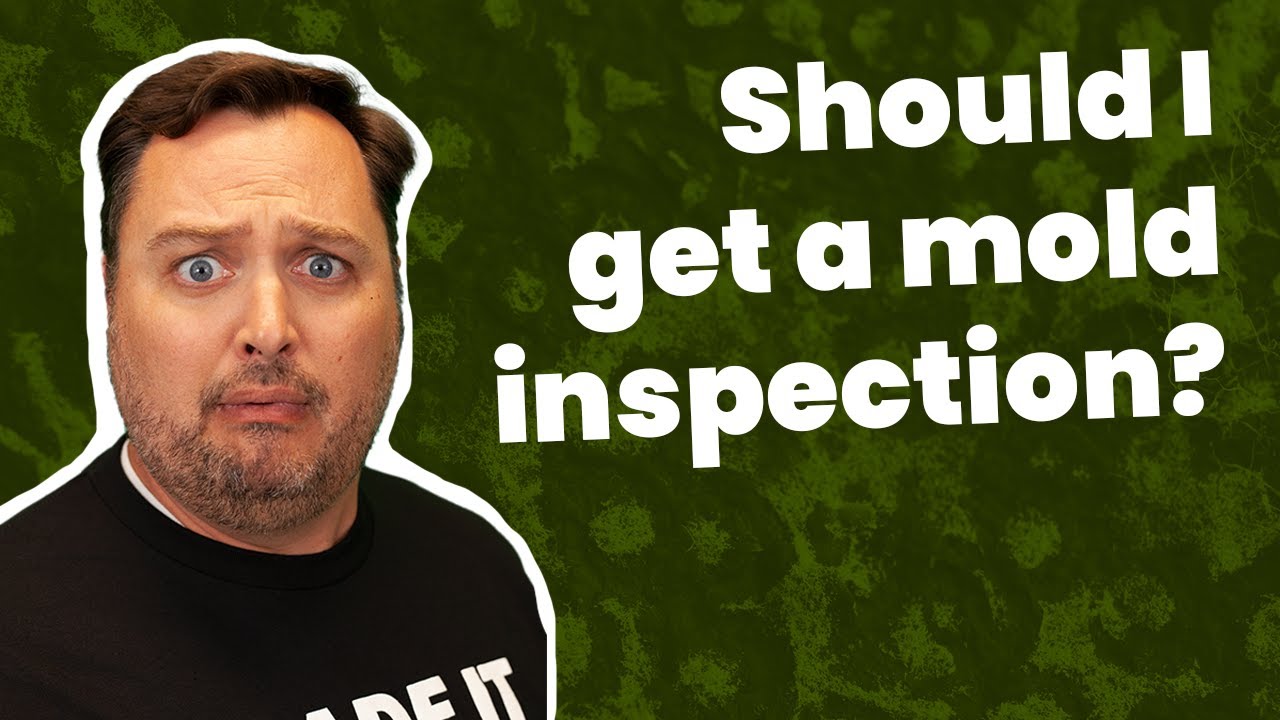 Should I Get A Mold Inspection When Buying A House