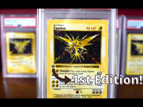 How Much Is A First Edition Zapdos Worth