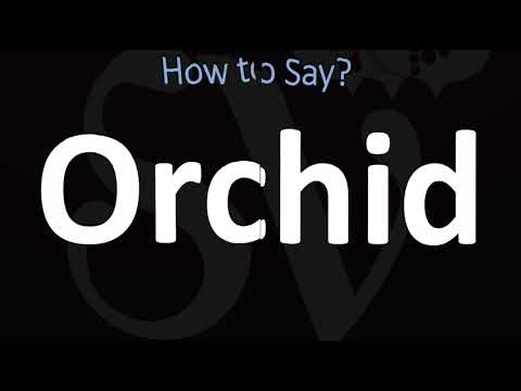 How to Pronounce Orchid? (CORRECTLY)