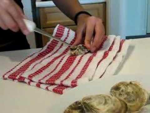 How To Shuck Kumamoto Oysters