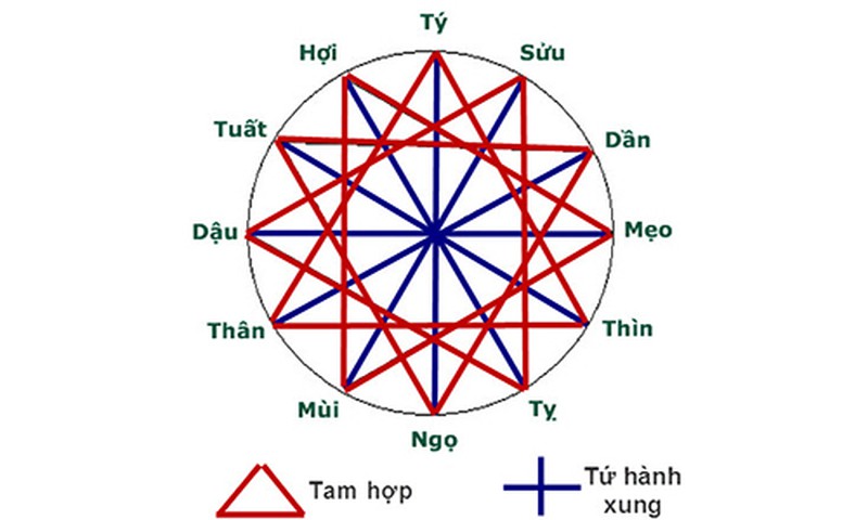 Tam Hình Là Gì? Ý Nghĩa & Ảnh Hưởng Của Tam Hình Trong Cuộc Sống