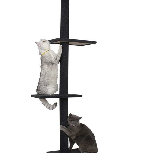 Amazon.Com: Cat Craft 4-Level Carpeted, Adjustable Floor To Ceiling  Climbing & Perch Cat Tree, Extra Large (Fits 7.5-9 Feet Ceiling), Charcoal  : Tools & Home Improvement