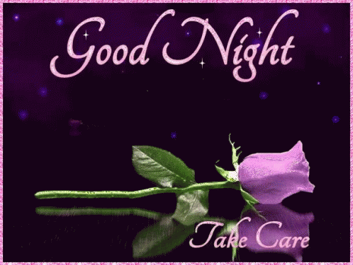 Good Night Take Care Gif - Good Night Take Care Purple Rose - Discover &  Share Gifs