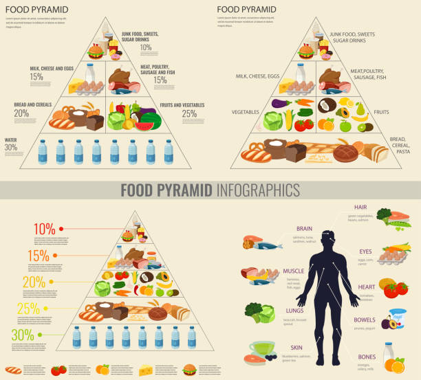Health Food Infographic Food Pyramid Healthy Eating Concept Vector Stock  Illustration - Download Image Now - Istock