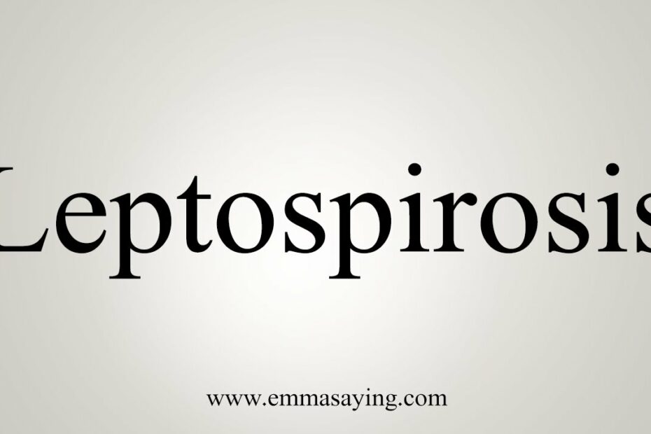 Leptospirosis How To Say