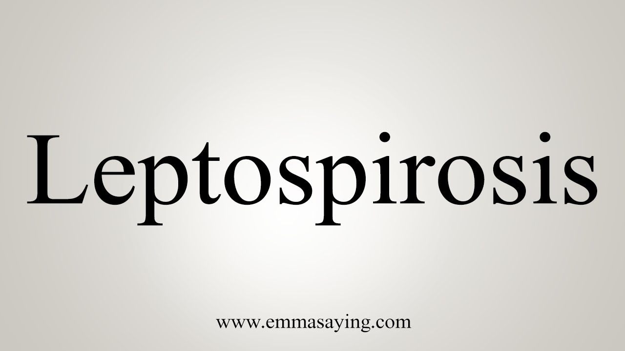 Leptospirosis How To Say