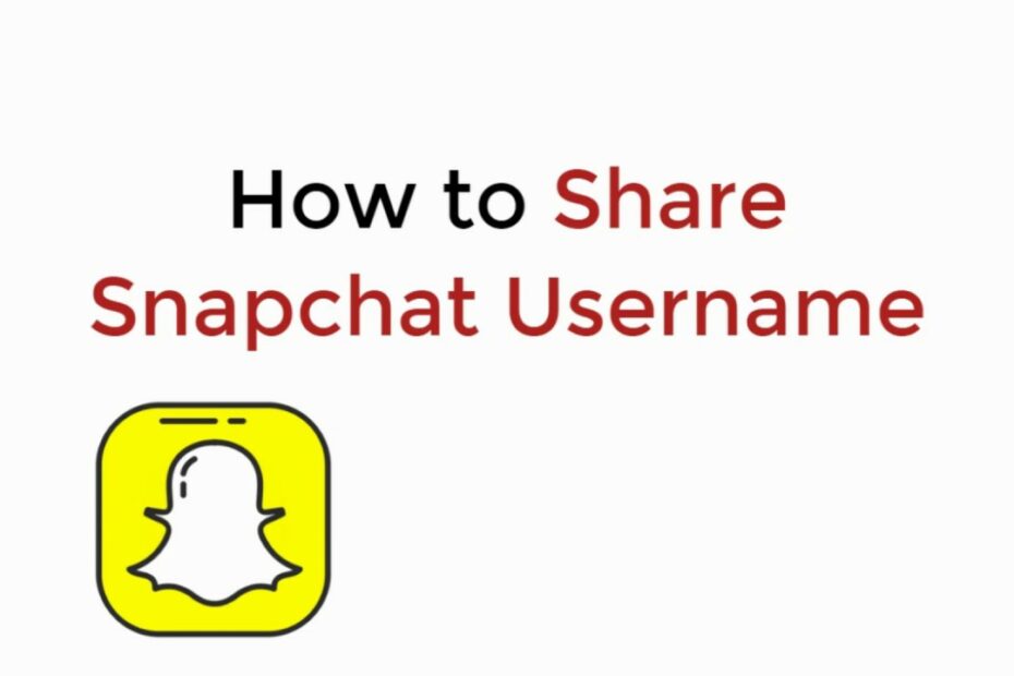 Does Snapchat Notify When You Share A Username