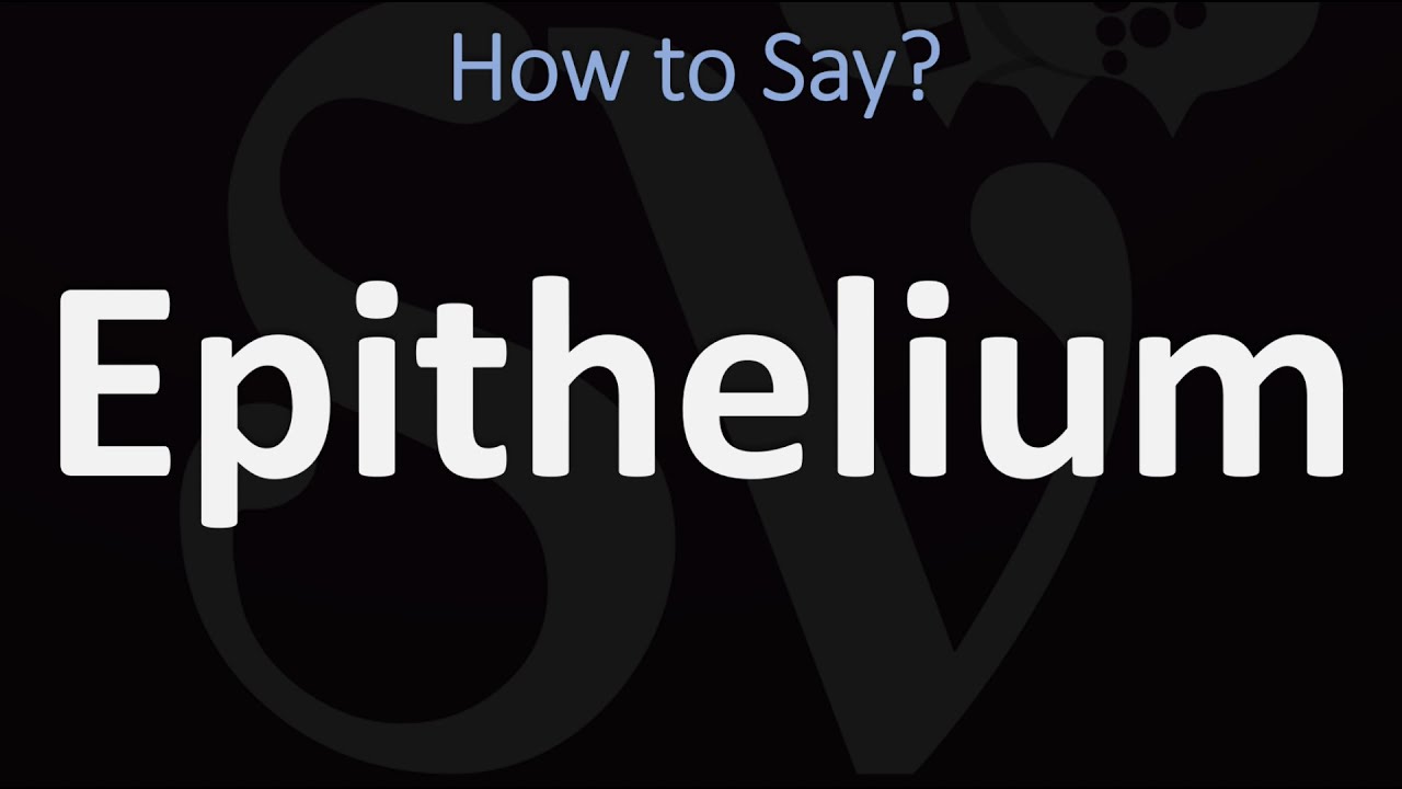 How To Pronounce Epithelium