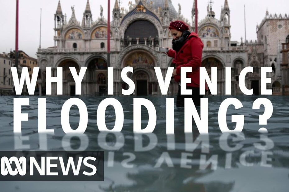 How Far Above Sea Level Is Venice Florida