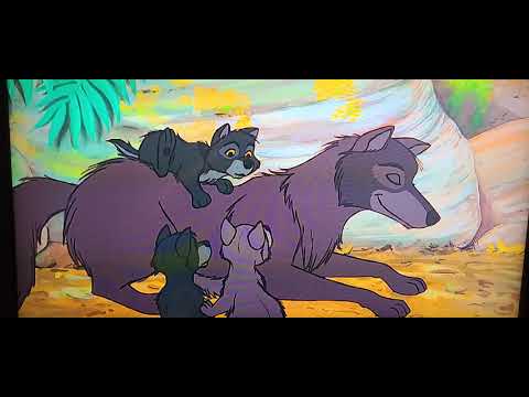 The Jungle Book- Bagheera Finds Baby Mowgli And The Wolves Adopted Mowgli -  Youtube
