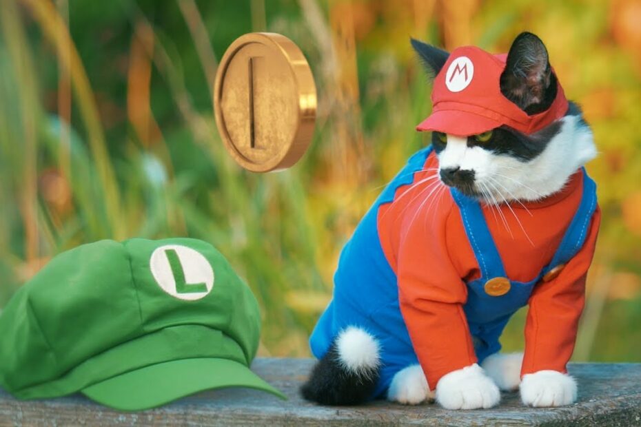 Super Mario Cat Bros. - Youtube