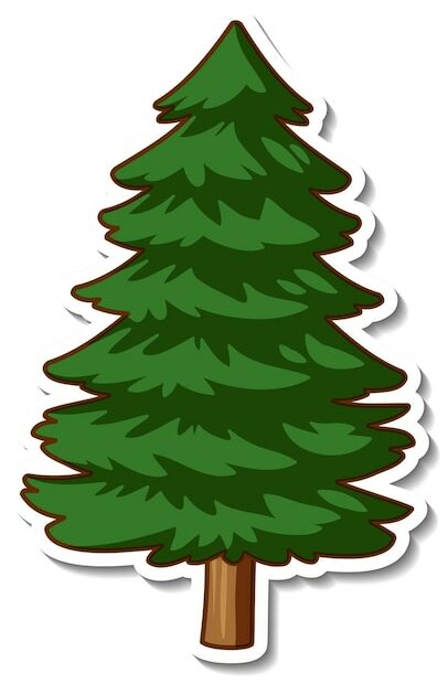 Spruce Tree Vectors & Illustrations For Free Download | Freepik