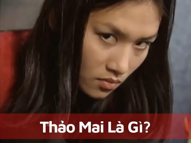 Thảo Mai Là Gì? Đặc Điểm Chung Của Những Người Thảo Mai