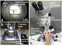 Difference Between Microtome And Ultramicrotomy | Compare The Difference  Between Similar Terms