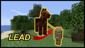 How To Put A Horse In A Boat In Minecraft (2 Methods Fast!) - Youtube