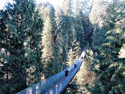 Lynn Canyon Vs Capilano Suspension Bridge In Vancouver, Canada