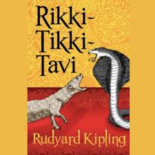 Rikki Tikki Tavi Plot Diagram Storyboard By Anna-Warfield