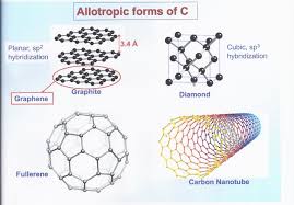 Representation Of Carbon Structures Hybridization States. | Download  Scientific Diagram