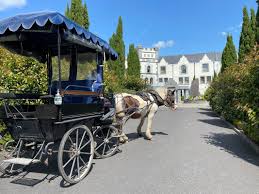 Killarney Horse & Carriage Tours - All You Need To Know Before You Go (2024)