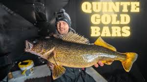 Ice Fishing Walleye On The Bay Of Quinte! (Boq Send Pt 1) - Youtube