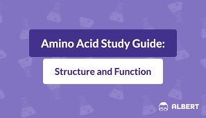 Which Of The Following Α Amino Acids Is Not Optically Active?