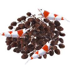 Alder Cones - How Alder Cones Affect Ph And Color In Aquarium Water