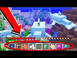 How To Tame A Dolphin In Minecraft? - Youtube