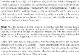 A: Development Of A Polygonum -Type Angiosperm Embryo Sac From A Single...  | Download Scientific Diagram