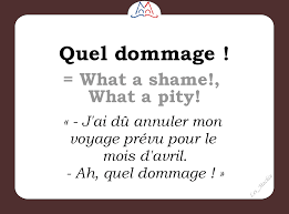 Quel Dommage | Meaning In English & Audio Examples