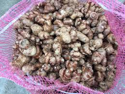 Galangal Philipines | Silang