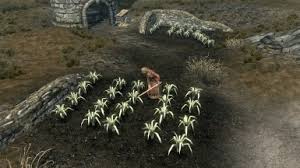 How Long Does It Take For Ore To Respawn In Skyrim? - Quora