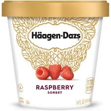 Häagen-Dazs Expands Vegan Range With New Oat Milk Ice Cream